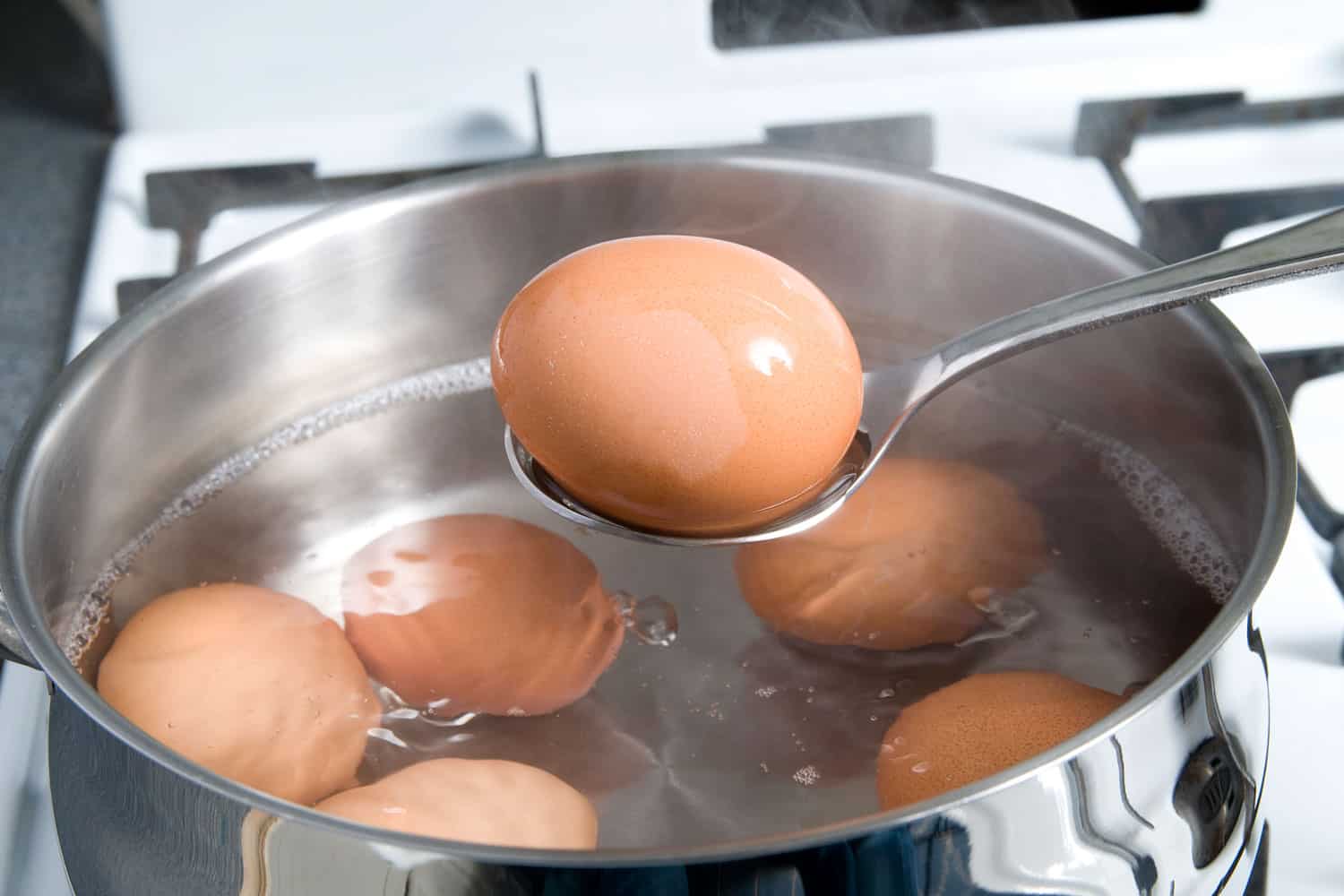 Proper heat for boiling an egg