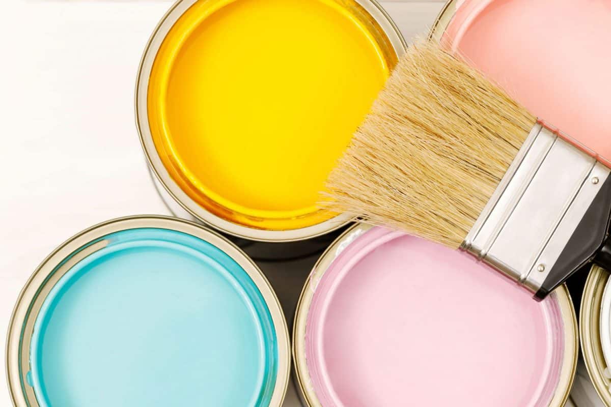 Specialty paints with a paint brush