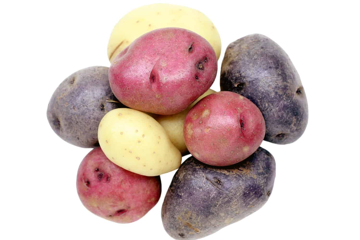 Three colors of potatoes. 