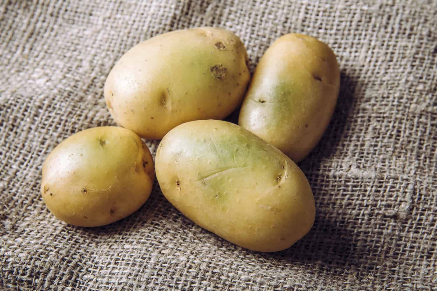 unlight and warmth turn potatoes skin green witch contain high levels of a toxin, solanine which can cause sickness and is poisonous.