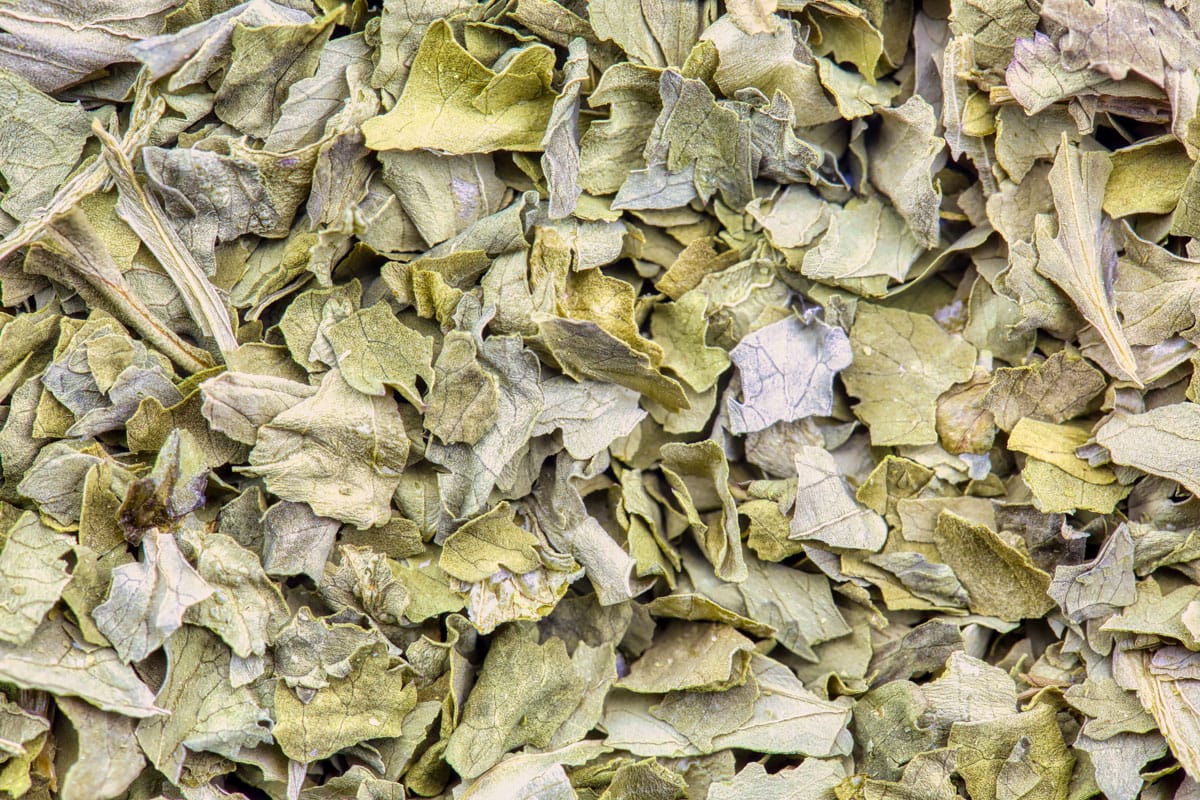 Dried Basil leaves