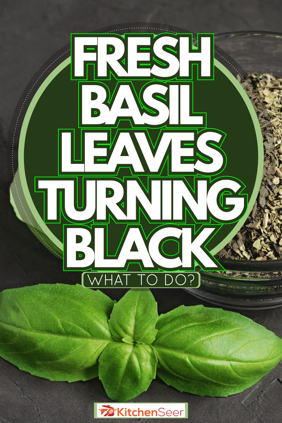 Dried and fresh basil, Fresh Basil Leaves Turning Black - What To Do?