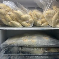 A tray of raw croissant dough in the fridge, How Long Does Dough Last In The Fridge?