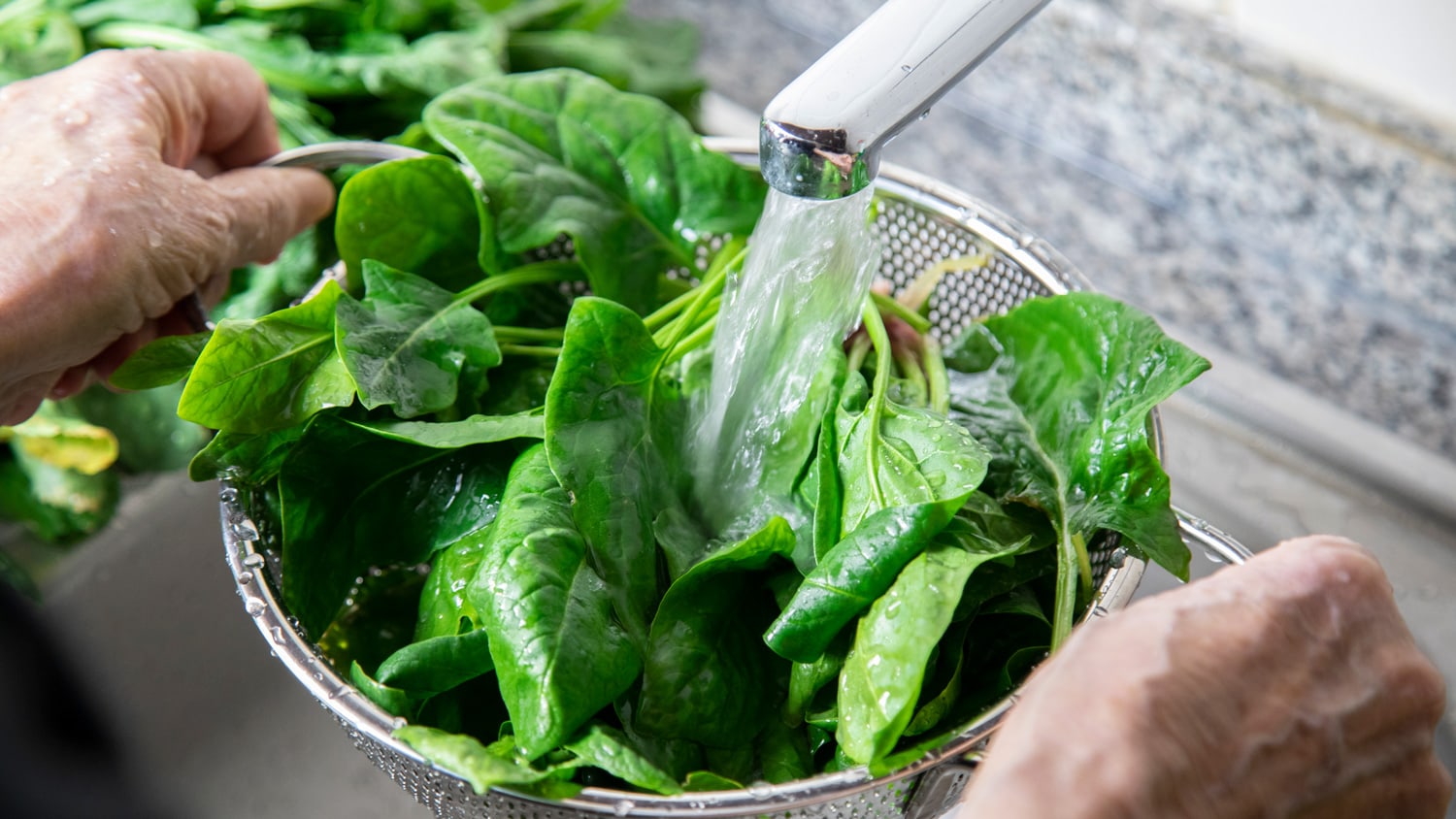Washing fresh spinach leaves of close up view