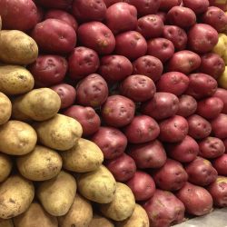 A big pile of potatoes at a market, What Potatoes Are Best For Baking?