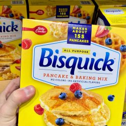 Can You Use Bisquick Instead Of Flour? [For Gravy, Dumplings, Waffles, And More]