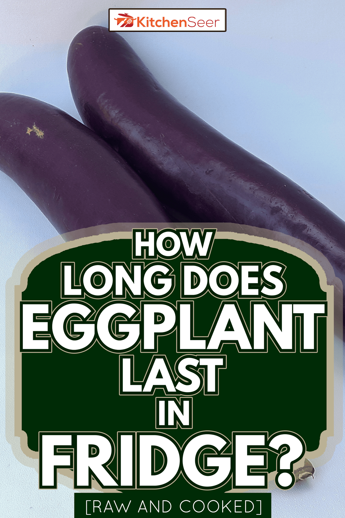 Eggplant is one of the foods that are easily found in the market or supermarket - How Long Does Eggplant Last in Fridge [Raw and Cooked]