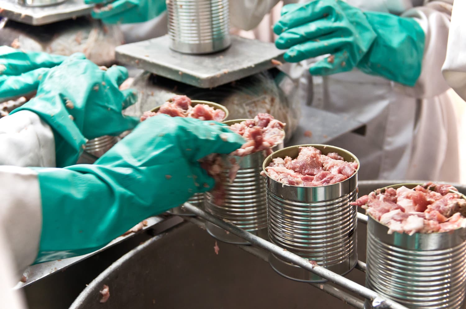 Pork is prepared for canning on a manual food production line.