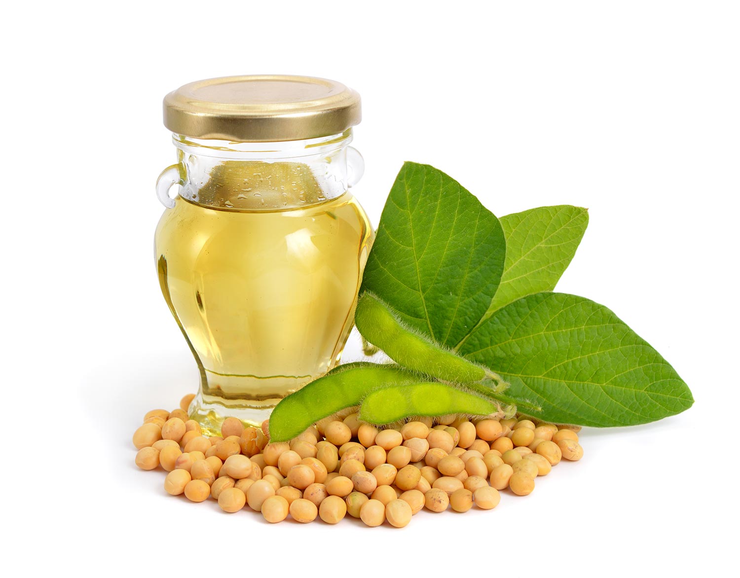 Soybean oil in a bottle with green pods and leawes