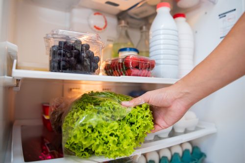 Read more about the article Lettuce Freezing In Fridge – What To Do?