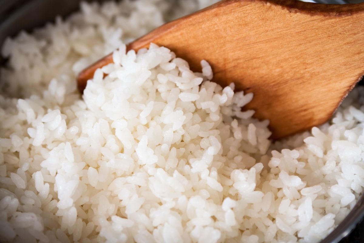 Freshly cooked rice in a pot