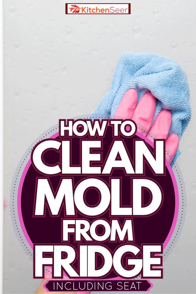 Woman cleaning the inside wall of a fridge, How To Clean Mold From Fridge [Inc. Seal]