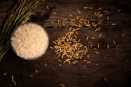 Read more about the article 1/4 Cup Dry Rice – How Much Cooked?