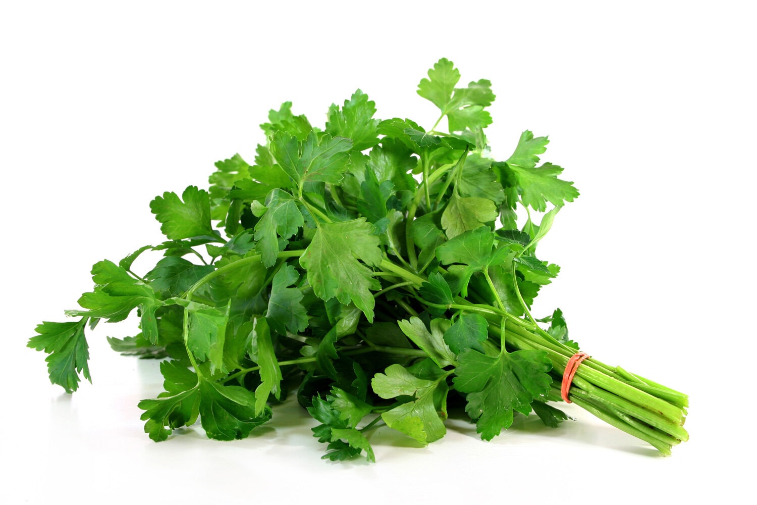 A bunch of parsley on a white background — Photo