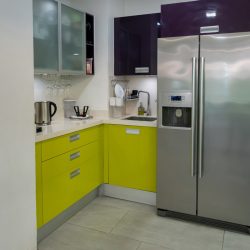 A small modern kitchen with mint green cabinets and white countertop matching the overall design, Why Does My Fridge Sound Like A Helicopter?