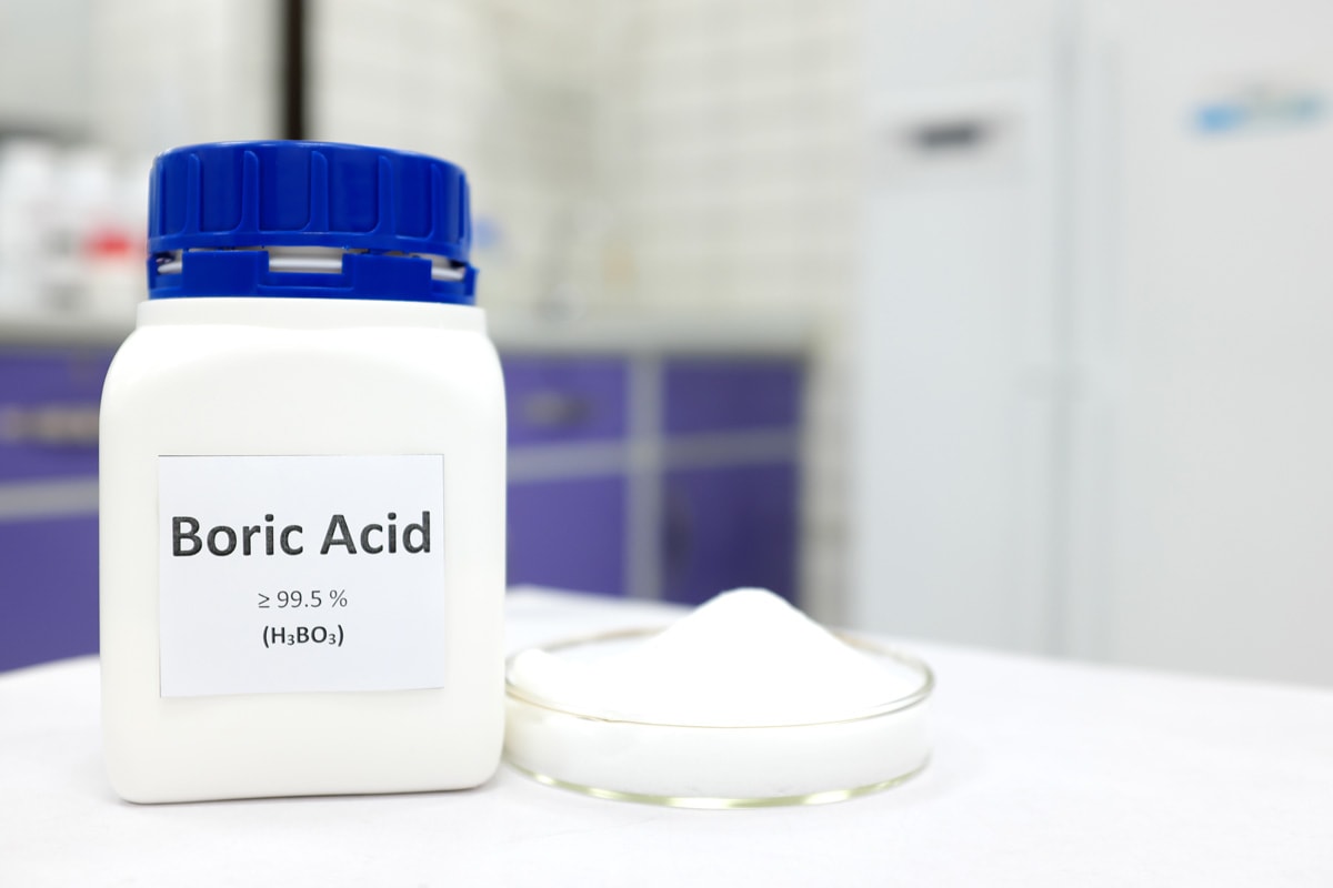 Boric acid on the kitchen table