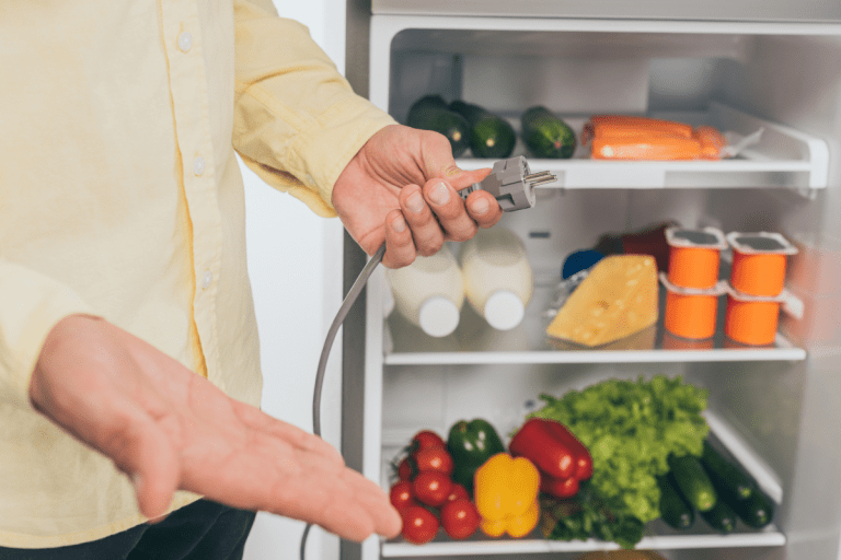Cropped view of man holding unplugged power cord of fridge isolated on white. - What Happens If You Plug A Fridge In Too Soon?