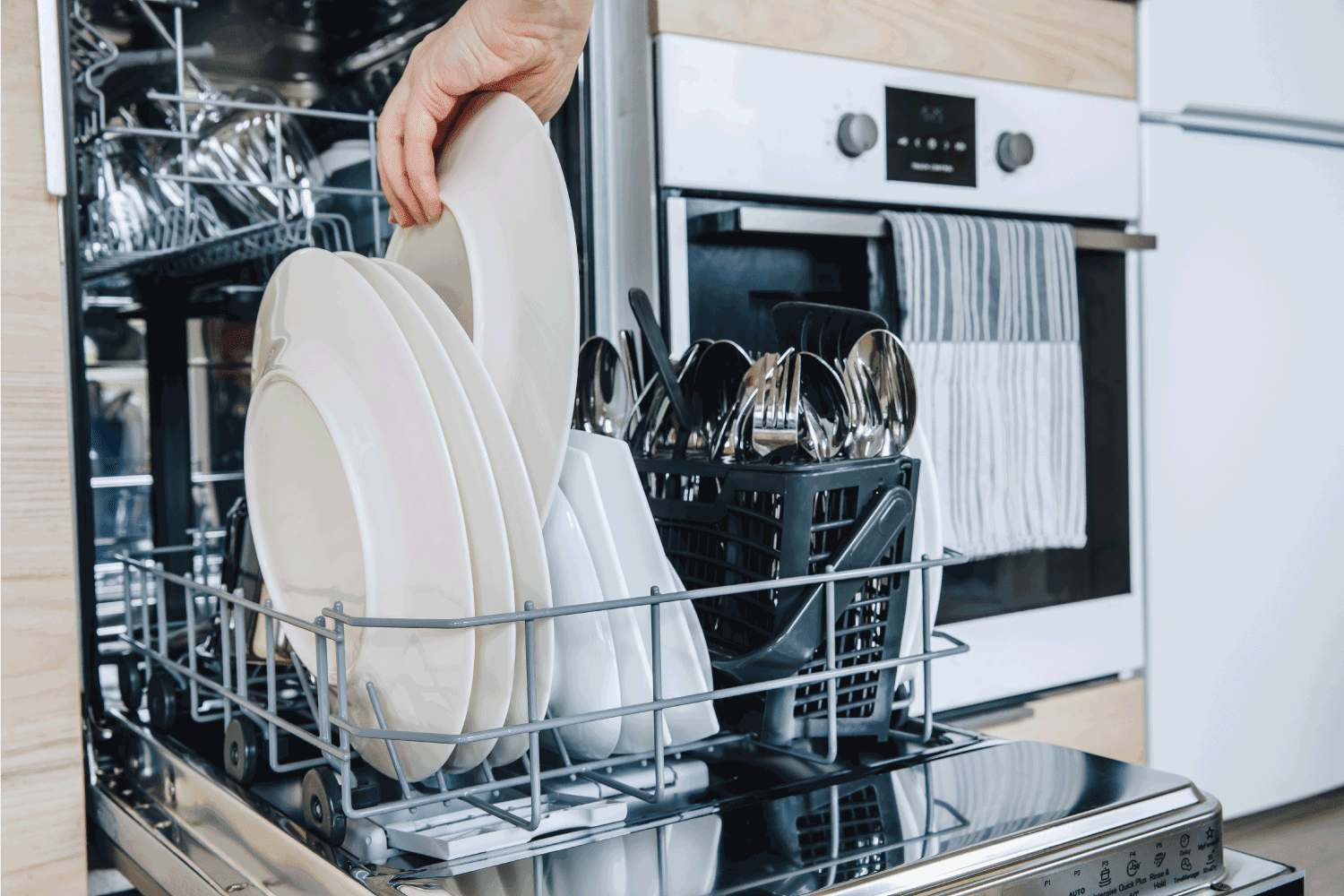 Woman loading the dishwasher. Open dishwasher with clean glasses and dishes close-up after washing