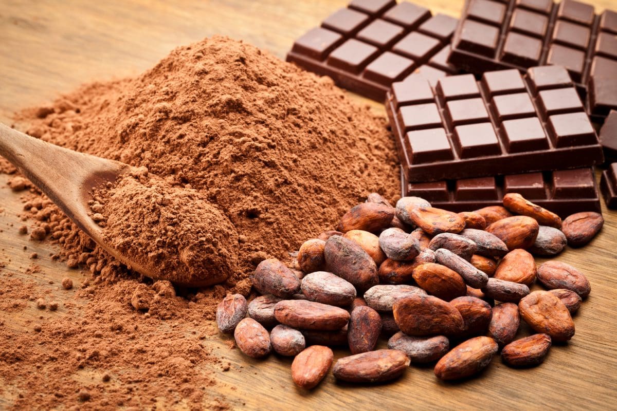Cocoa Beans and Cocoa Powder with Chocolate Bars on Wood Table - Can I Grind Cocoa Beans In A Coffee Grinder