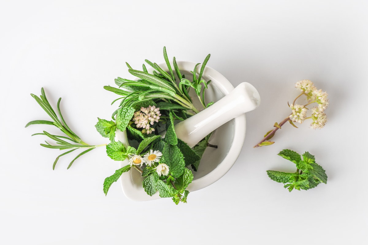 Herbal and alternative medicine
