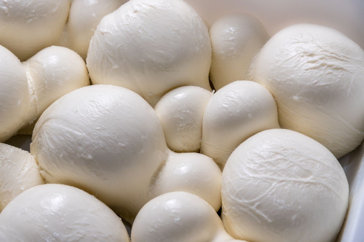 mozzarella fior di latte, typical cheese of southern Italy produced with buffalo milk