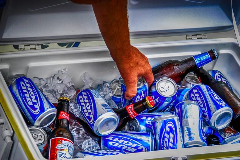 A hand reaches into a cooler box to retrieve a can and bottle of Budweiser Light beer at the Port Huron Sailing regatta - Can Bud Light Expire [Here's How Long You Can Drink It Past The Expiration Date!]