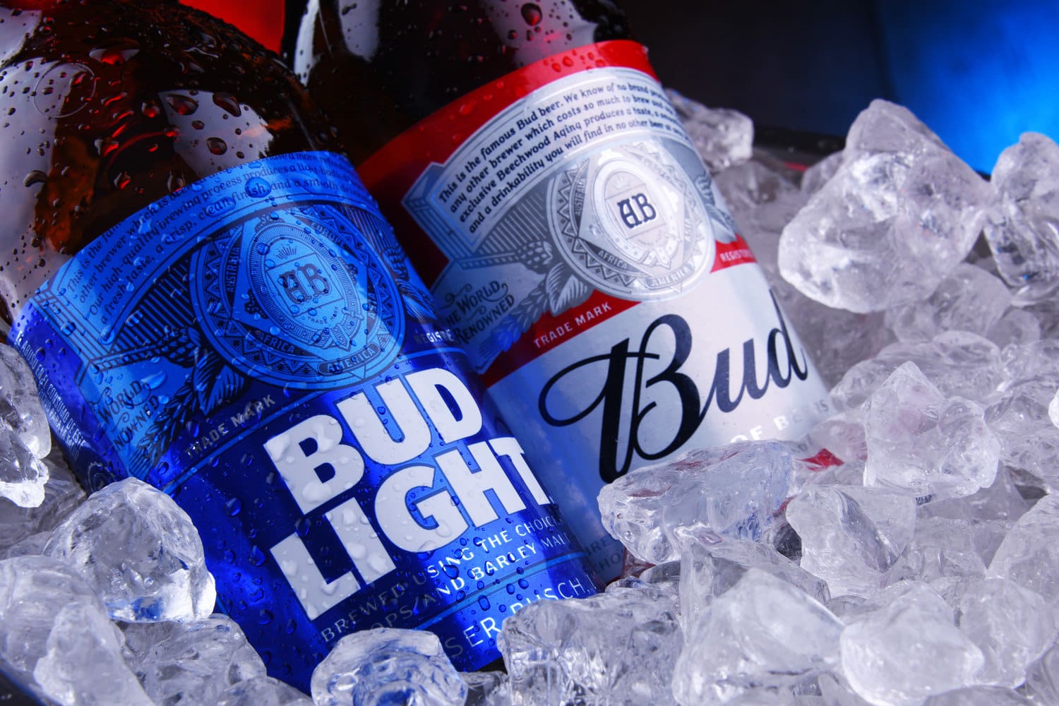Bottles of Bud and Bud Light, popular American beers, produced by Anheuser-Busch.