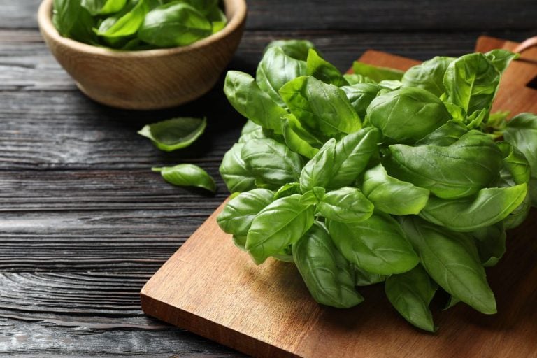 Fresh green basil on black wooden table, closeup. - How To Cook With Fresh Basil [6 Easy Recipes To Get You Started]