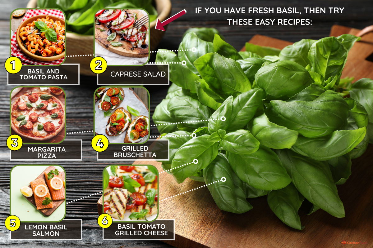 Fresh green basil on black wooden table, closeup. - How To Cook With Fresh Basil [6 Easy Recipes To Get You Started]