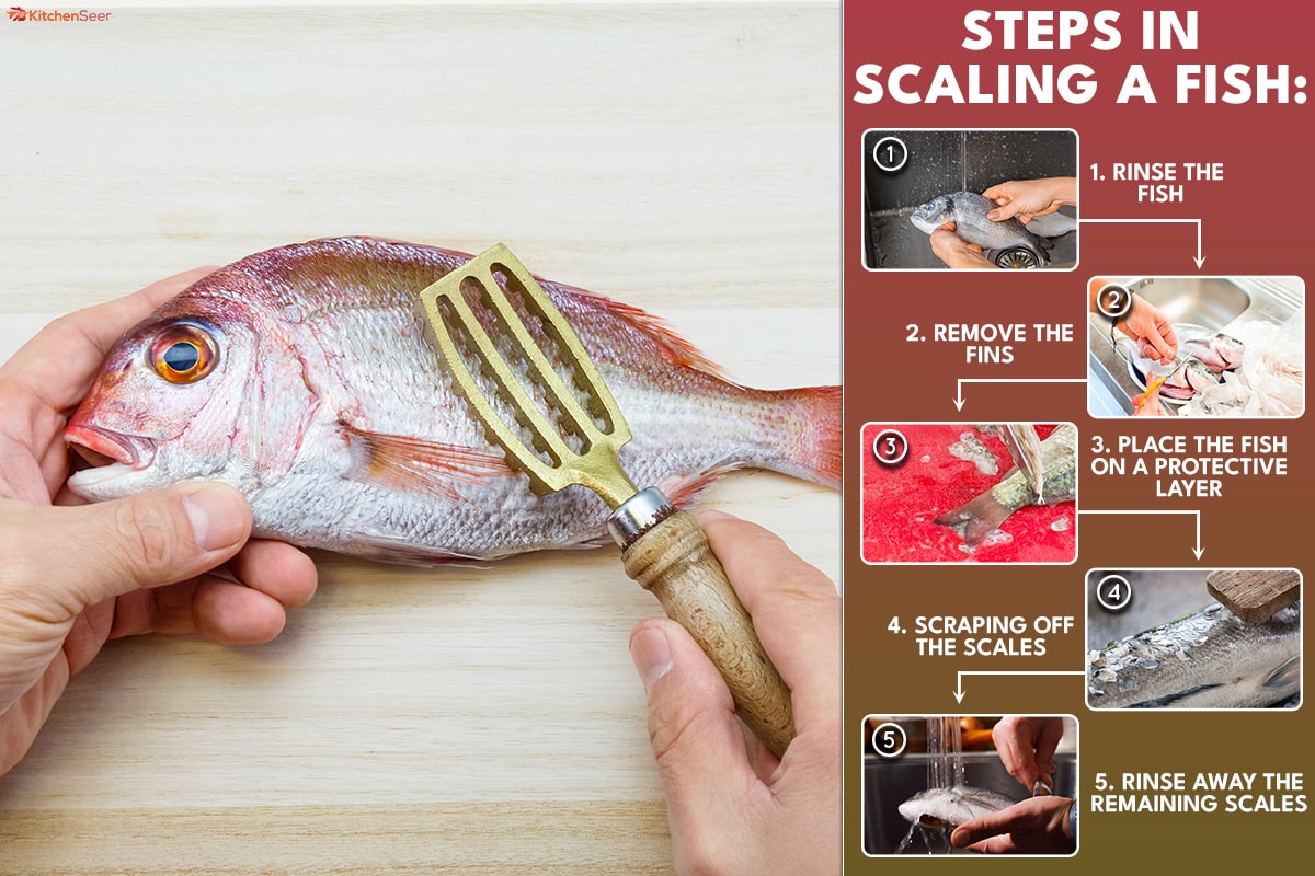 How To Scale A Fish