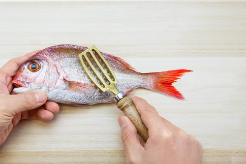 Read more about the article Are Fish Scales Safe & Edible? – What Happens If You Accidentally Eat Them?