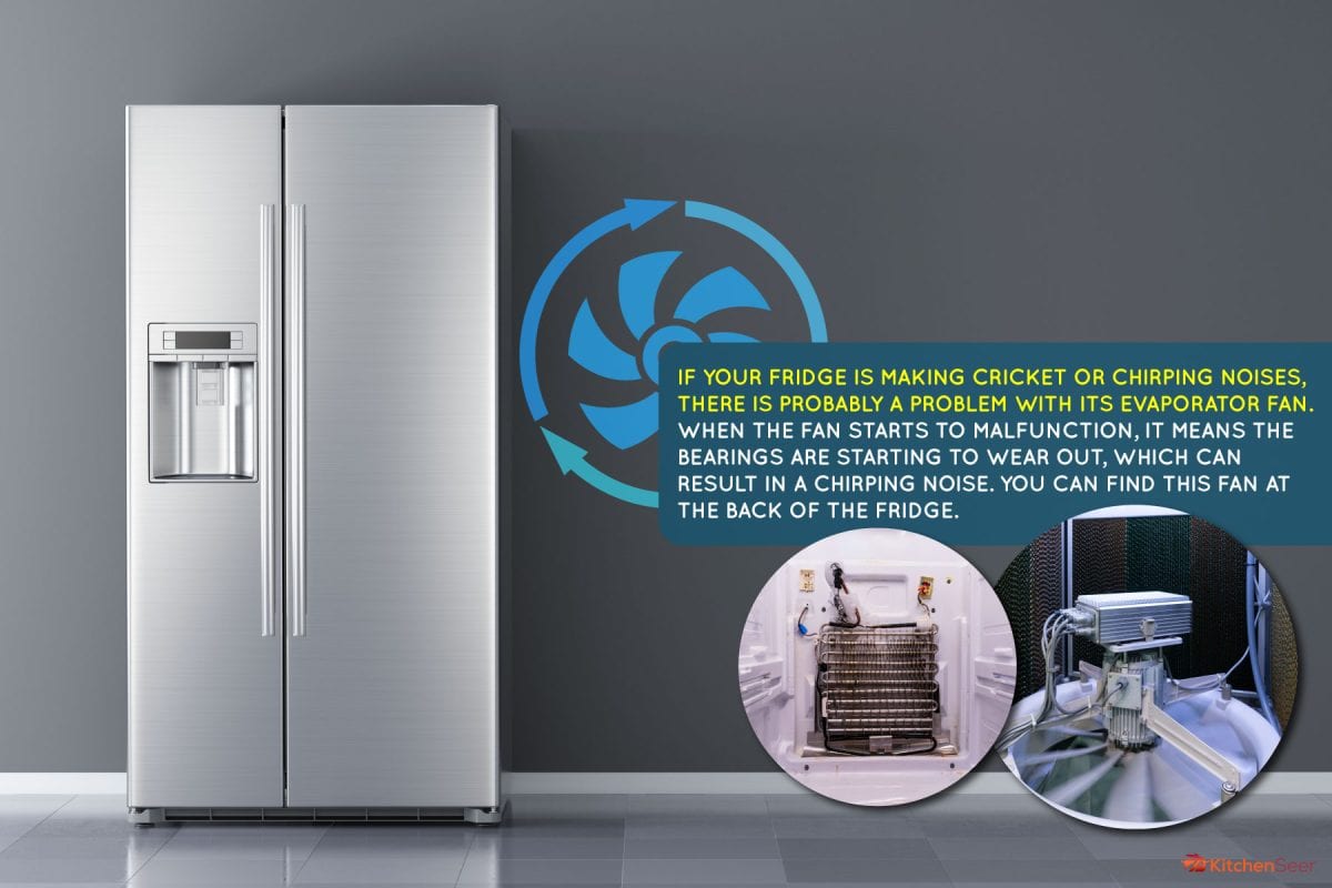 modern-side-by-stainless-steel-refrigerator, Why Does My Fridge Sound Like A Cricket?