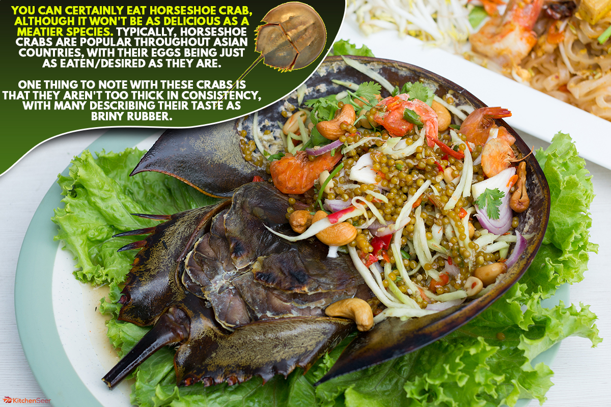 Spicy salad horseshoe crab egg with lettuce in white dish on table, Can You Eat Horseshoe Crab? [Tips & Recipe]