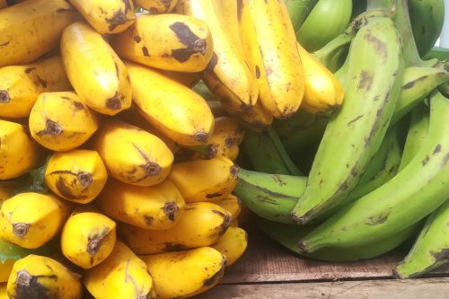 Read more about the article Can You Cook Bananas Like Plantains?