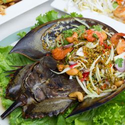 A spicy salad horseshoe crab egg with lettuce in white dish on table, Can You Eat Horseshoe Crab? [Tips & Recipe]