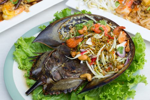 Read more about the article Can You Eat Horseshoe Crab? [Tips & Recipe]
