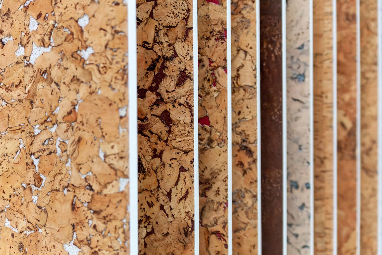 cork, floor and wall tiles. Peel - Quercus Suber L cork oak bark grown in the Western Mediterranean. Texture, background 