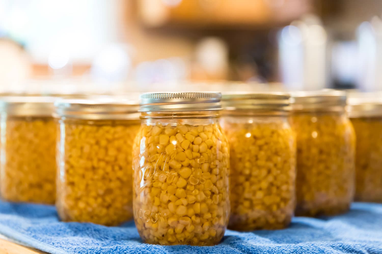 Glass jars of corn fresh out of the pressure canner. They are sitting on a counter on a blue towel.