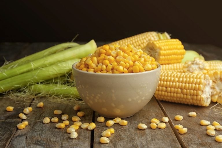 Bowl with corn seeds and ripe corn cobs on wooden table, Does Corn Need To Be Refrigerated