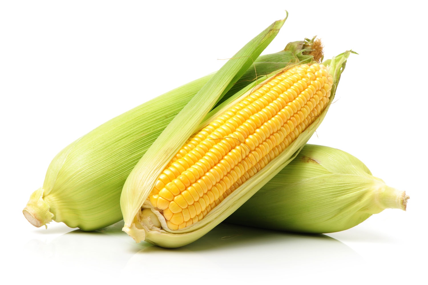 Corn on white background 