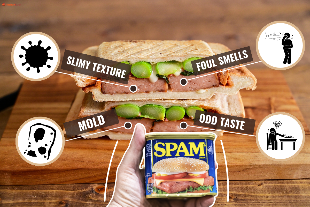 Hot sandwich with asparagus and luncheon meat, How Long Does Spam Last In The Fridge [Opened & Unopened] 