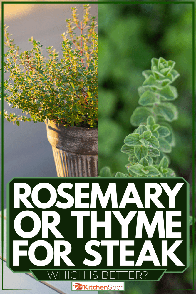 Collaged photo of rosemary and thyme in the garden, Rosemary Or Thyme For Steak: Which Is Better?