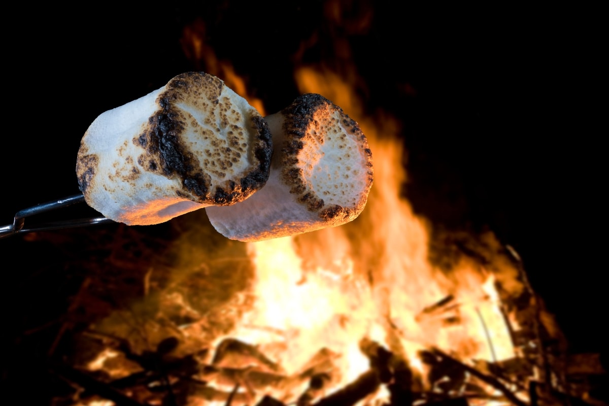 Two marshmallows being roasted over a campfire to make smores, The World's Largest Marshmallow