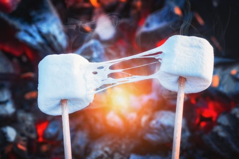 Two stretchy marshmallows roasting over fire flames. Marshmallow on skewers roasted on charcoals, The World's Largest Marshmallow