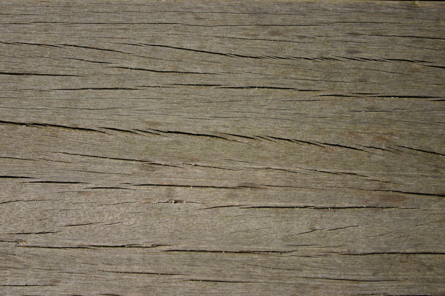 Greenheart timber