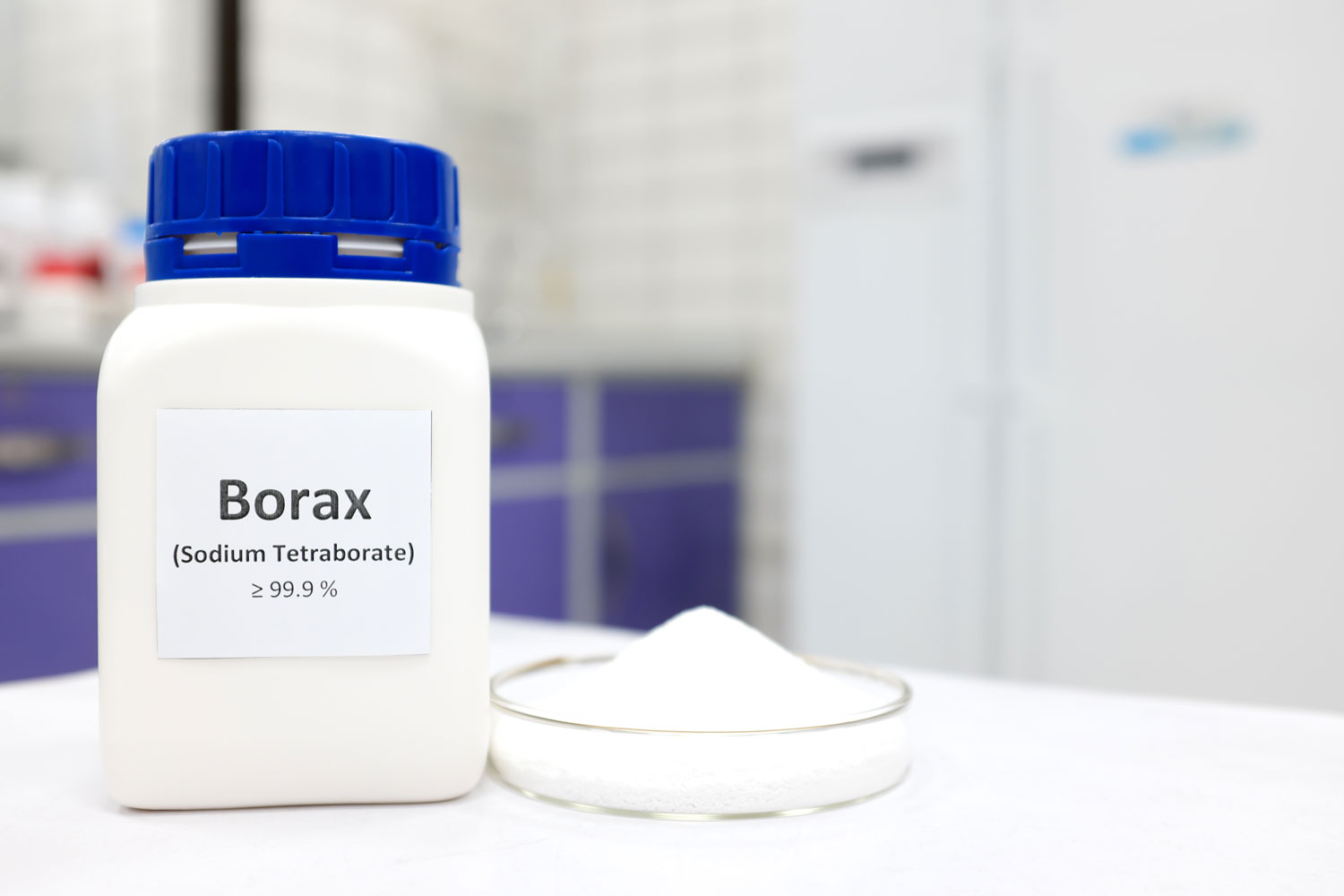 Putting Borax in the kitchen