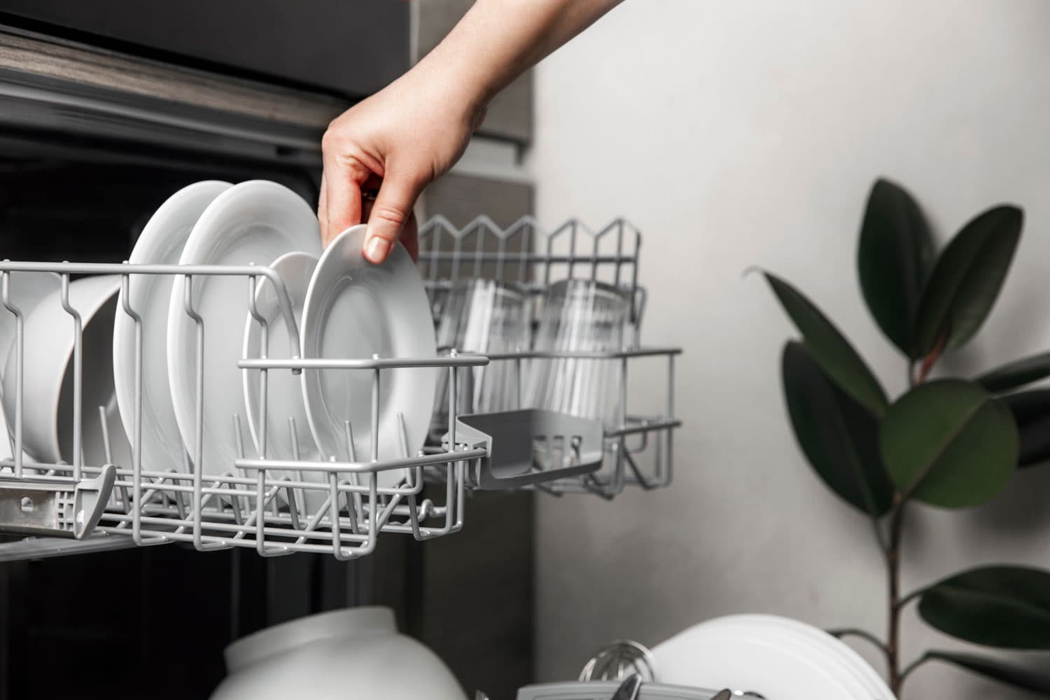Placing dishwashers in the kitchen